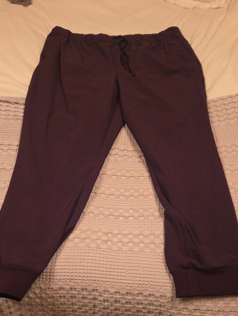 Drawstring Jogger Pants in Deep Plum Xl